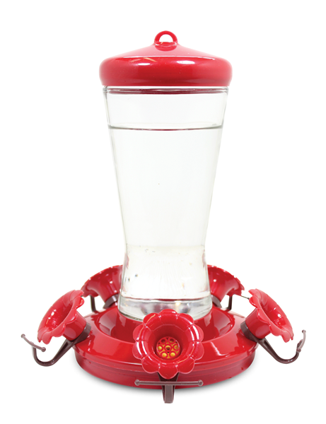 HUMMINGBIRD FEEDER GLASS 28oz