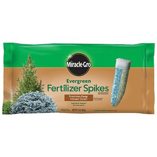 FERTILIZER SPIKES EVERGREEN 12-6-12 10pk