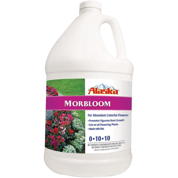 ALASKA MORBLOOM 0-10-10  3.79L