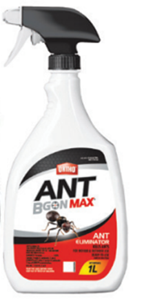 ANT BGON MAX ORTHO W/ WAND APPLICATOR 4 L RTU