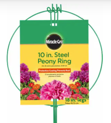 MIRACLE GRO STEEL PEONY RING 10-IN