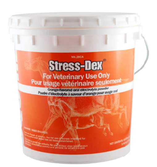 ELECTROLYTE STRESS-DEX 12 LBS