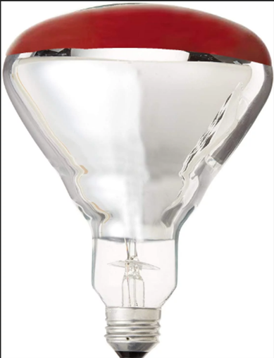 HEAT LAMP BULB CANARM R40 GLASS SOFT RED 250W
