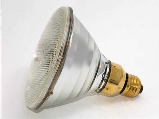 HEAT LAMP BULB CLEAR PAR38  175W