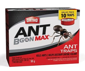 ANT BGON MAX TRAPS 10/PK