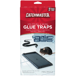 GLUE BOARD MOUSE & INSECT 2PC