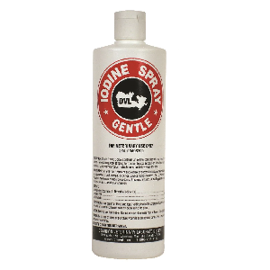 IODINE SPRAY 1% GENTLE  500ML