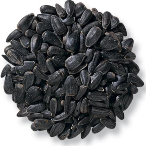 SUNFLOWER SEED BLACK OIL NATURE'S  MIX 15kg