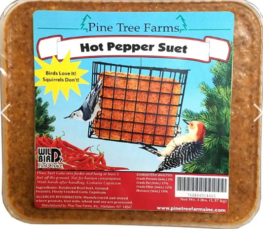 SUET PINE TREE HOT PEPPER 340G