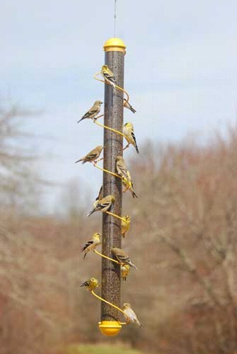 NYJER FEEDER FINCH YELLOW SPIRAL 36"