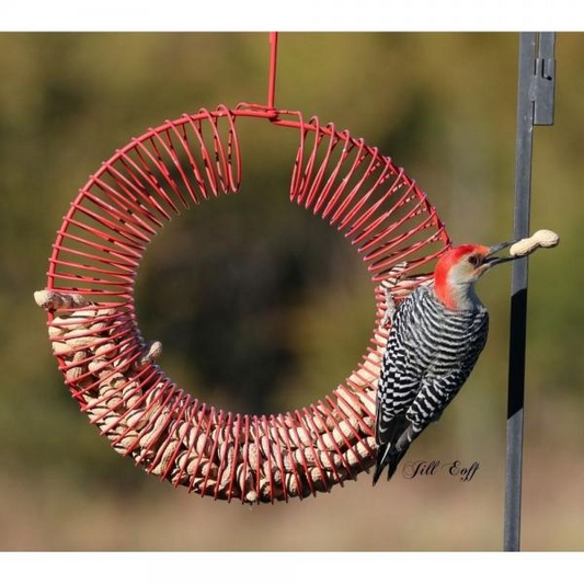 FEEDER PEANUT WREATH RED