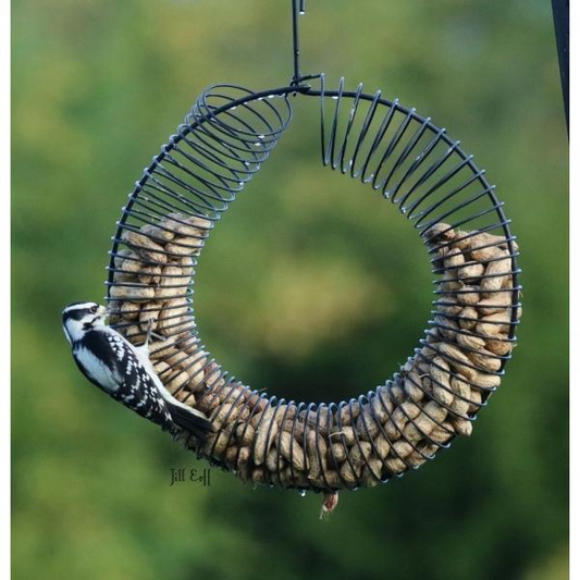 FEEDER PEANUT WREATH BLACK