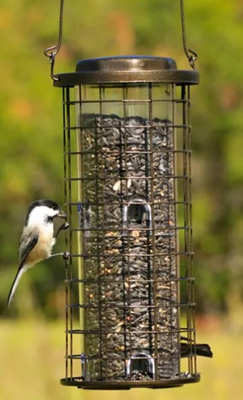 BIRD FEEDER SQUIRREL STUMPER PERKY PET