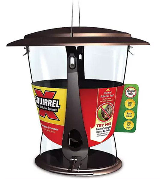 SQUIRREL X - SQUIRREL X2 4 LBS SEED FEEDER BRONZ - ARMSTRONG