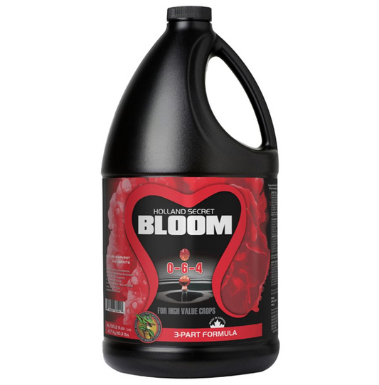 BLOOM  HOLLAND SECRET 4 L