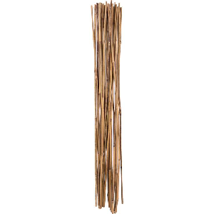 STAKES BAMBOO  5FT/12PK