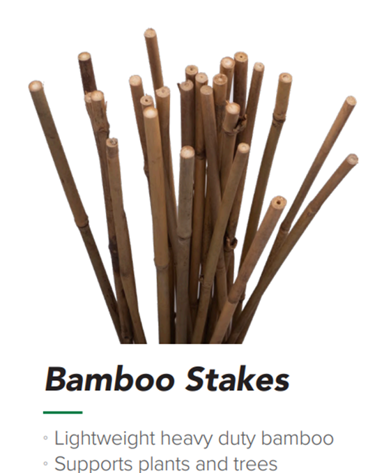 BAMBOO Stakes  6'   pkg/12