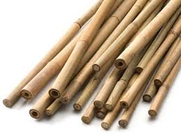 BAMBOO CANES 4 FT/25PK MONDI NATURAL