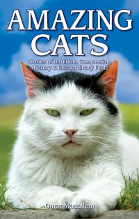 BOOK AMAZING CATS