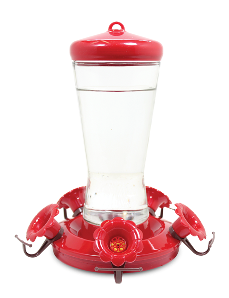 HUMMINGBIRD FEEDER GLASS  28oz