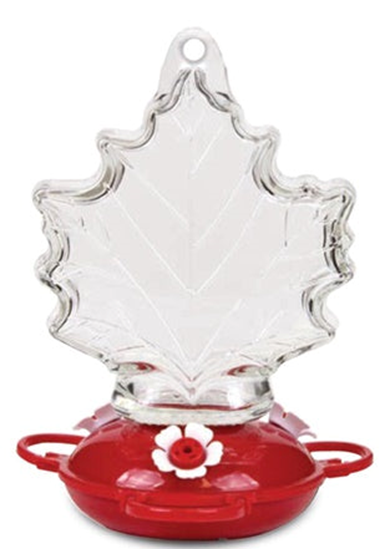 HUMMINGBIRD FEEDER MAPLE LEAF GLASS