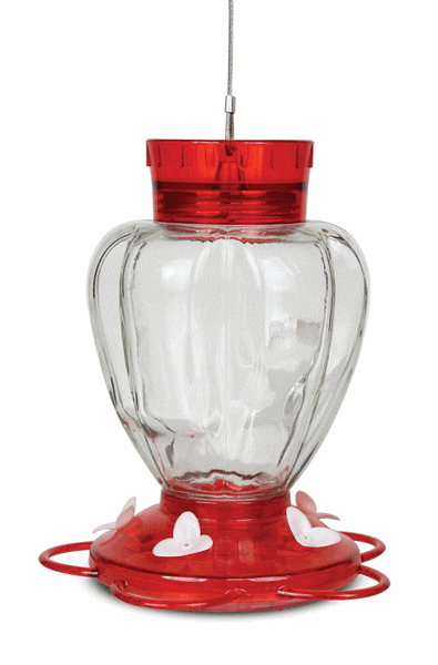 HUMMINGBIRD FEEDER  29 oz Glass